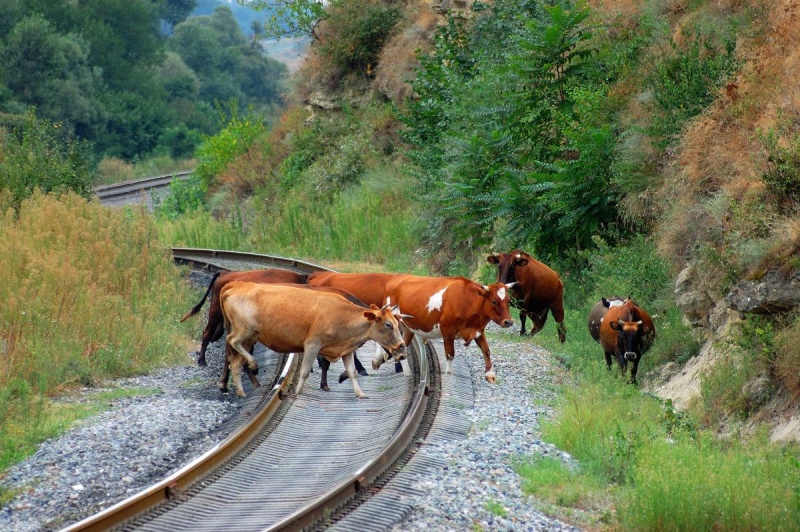 34948e5c0c55705edabe84524239a7e3